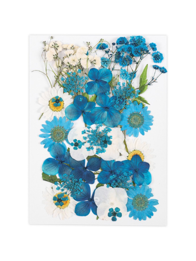 reschimica-fiori-secchi-ortensia.-chrysanthemum-paludosum.-lace-flower.-narciso.-gypsophila.-cardiospermum-hali