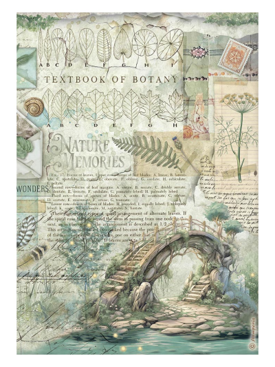 Carta di riso A4 | Herbarium Silvae - Ponte