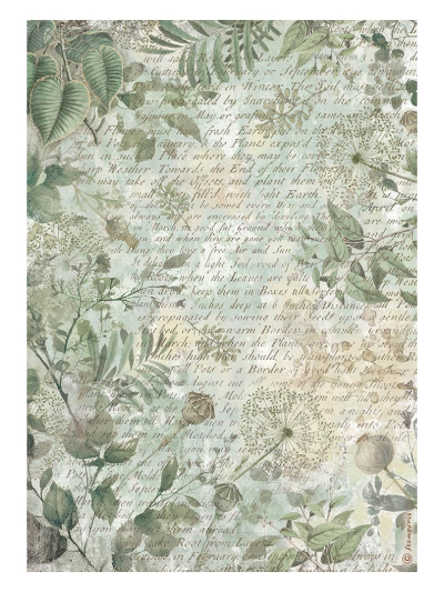 stamperia-carta-di-riso-a4-herbarium-silvae-sfondo-con-scritte