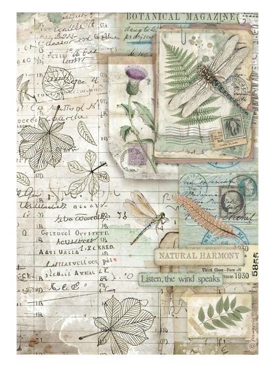 Carta di riso A4 | Herbarium Silvae - Pagina
