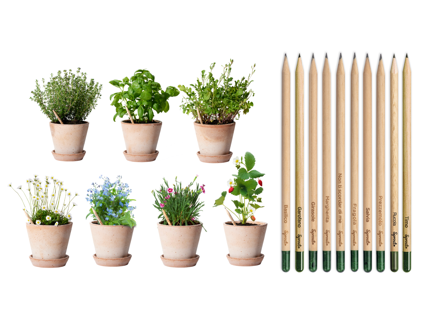 Set 8 Matite Piantabili SproutWorld - Con Semi Di Fiori, Erbe E Verdure | Edizione Mindful Thoughts - 8