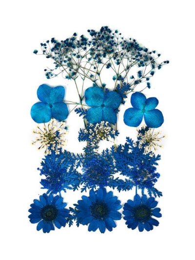 kokoart-fiori-secchi-chrysanthemum-paludosum.-gypsophila.-ortensia.-lace-flower.-artemisinina