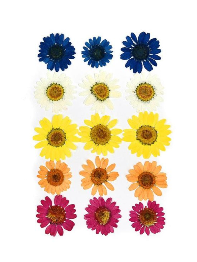 kokoart-fiori-secchi-mix-colorato